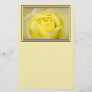 Gelbe Rosen-Nahaufnahme Briefpapier