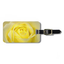 Gelbe Rosen-Nahaufnahme