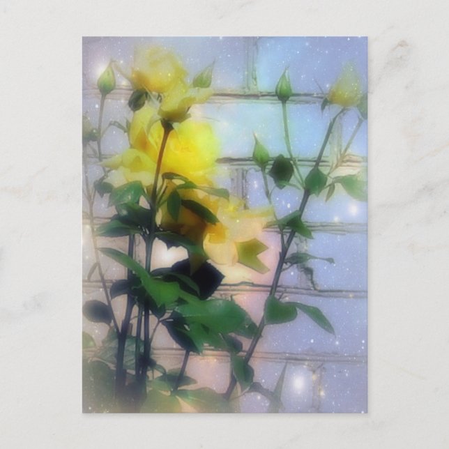 Gelbe Rosen Postkarte (Vorderseite)