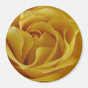 Gelbe Rosenblätter 3" Rundmagazin Magnet