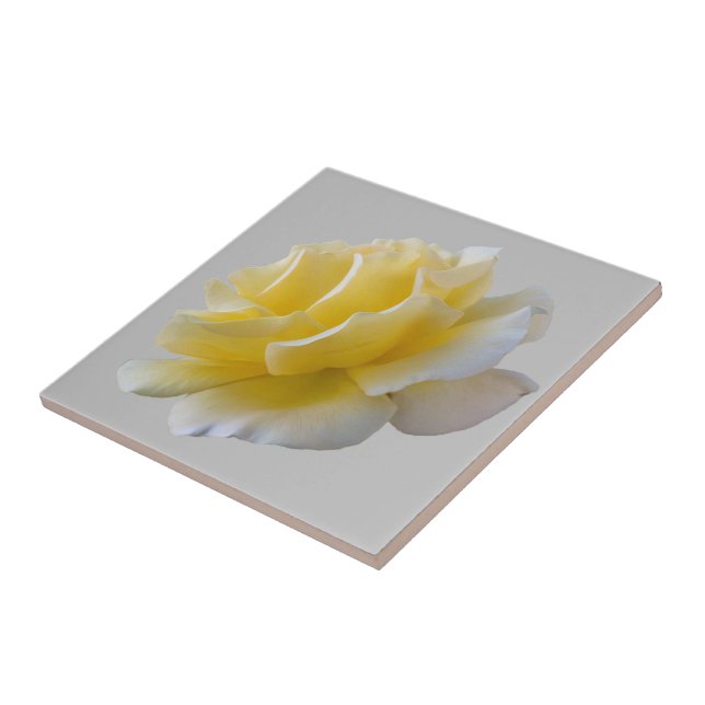 Gelbe Rosenblätter Fliese (Seite)
