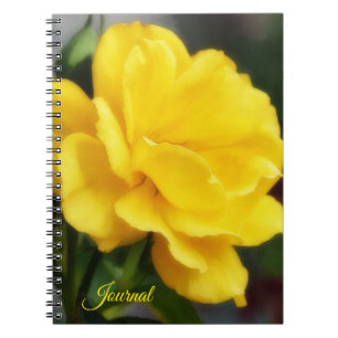 Gelbe Rosenblumen Kunst Tagebuch