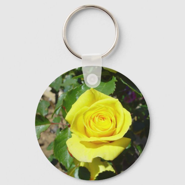 Gelbe Rosenblüte 4 Schlüsselanhänger (Vorderseite)