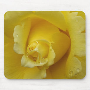 Gelbe Rosenbude Mousepad