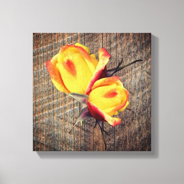 Gelbe Rosenknospe-Blume an Bord Leinwanddruck (Vorderseite)
