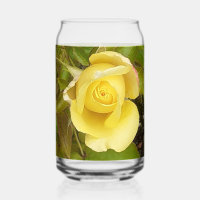 Gelbe Rosenknospe