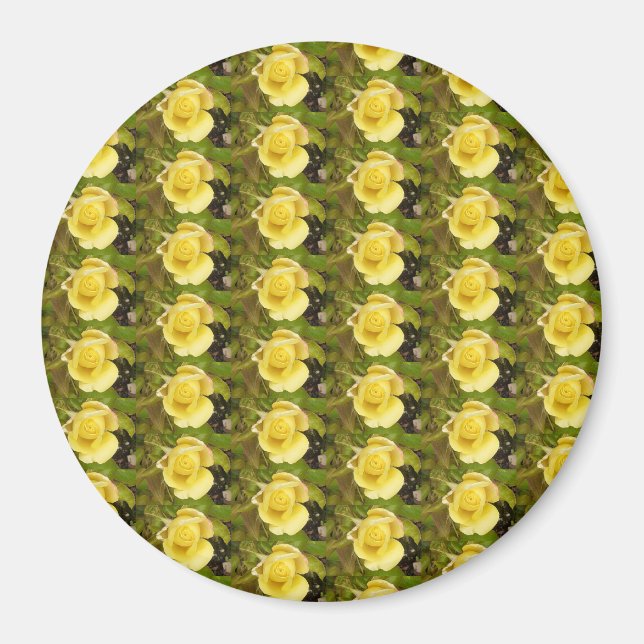Gelbe Rosenknospe Magnet (Vorne)