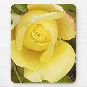 Gelbe Rosenknospe Mousepad