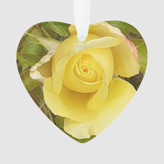 Gelbe Rosenknospe Ornament (Vorderseite)