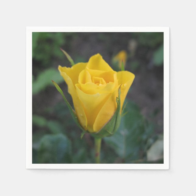 Gelbe Rosenknospe Serviette (Vorderseite)