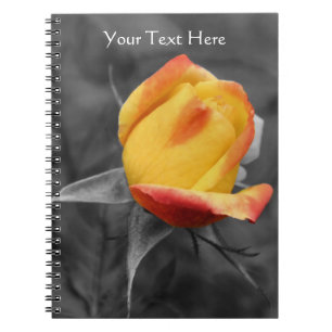 Gelbe Rosenknospe, teilweise farbig, floral Notizblock