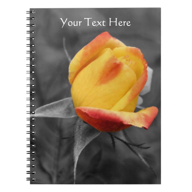 Gelbe Rosenknospe, teilweise farbig, floral Notizblock (Vorderseite)