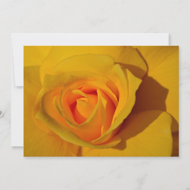Gelbe Rosenorange Rose Romantische Rose Einladung (Vorderseite)