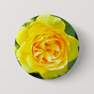 Gelbe Rosette Button