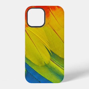 Gelbe, rote, blaue und grüne Federn iPhone 12 Hülle