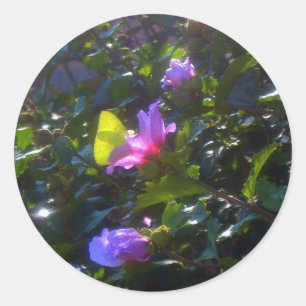 Gelbe Schmetterling auf Rosa Rose von Sharon Runder Aufkleber