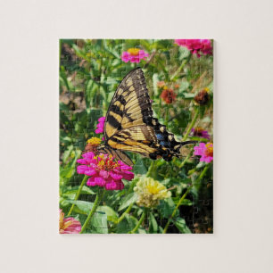 Gelbe Schmetterling im Zinnia-Garten