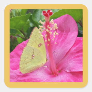 Gelbe Schmetterling und rosa Blume, viereckiger Au Quadratischer Aufkleber