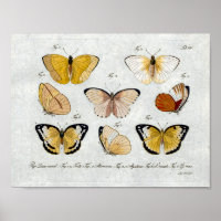 Gelbe Schmetterlinge Vintager Druckdownload