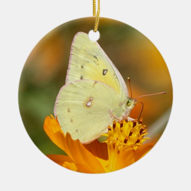 Gelbe Schmetterlingsverzierung Keramik Ornament (Vorne)