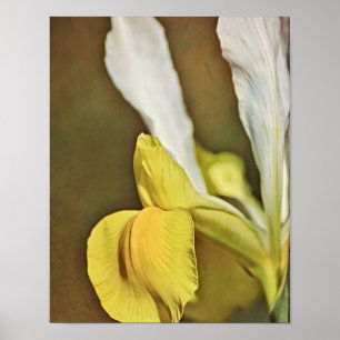 Gelbe Schwertlilien-Blumen-Fotokunst Poster