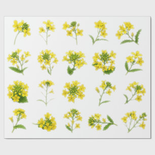 Gelbe Senfblüten-Botanik-Set Rapsblüte Geschenkpapier