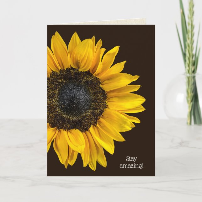 Gelbe Sonnenblume am dunkelbraunen Geburtstag Karte (Vorderseite)