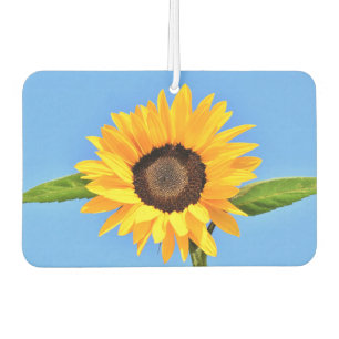 Gelbe Sonnenblume auf blauem Himmel - Sommer Autolufterfrischer