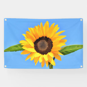 Gelbe Sonnenblume auf blauem Himmel - Sommer Banner