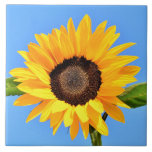 Gelbe Sonnenblume auf blauem Himmel - Sommer  Fliese<br><div class="desc">Gelbe Sonnenblume gegen Sonne auf blauem Himmel - Sommertag - Foto Blume Natur - Sie können auch personalisieren - Wählen / Fügen Sie Ihr einzigartiges Foto - Bild / Text - Name / Farbe / Schriftart / Größe / mehr - Machen Sie Ihr besonderes Geschenk - Umgrösse und verschieben oder...</div>