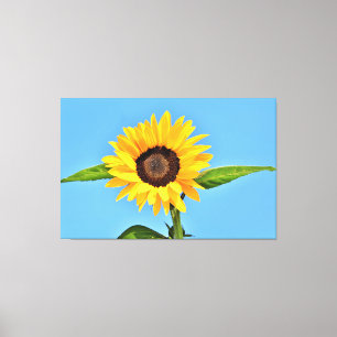Gelbe Sonnenblume auf blauem Himmel - Sommer Leinwanddruck