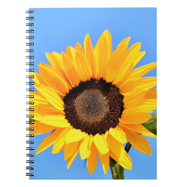 Gelbe Sonnenblume auf blauem Himmel - Sommer Notizblock (Vorderseite)
