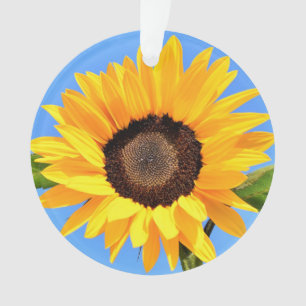 Gelbe Sonnenblume auf blauem Himmel - Sommer Ornament