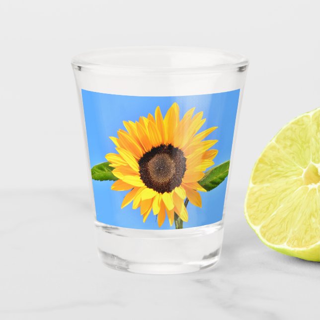 Gelbe Sonnenblume auf blauem Himmel - Sommer Schnapsglas (Vorderseite)