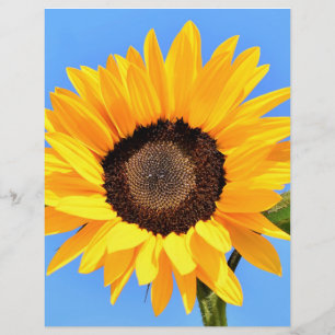 Gelbe Sonnenblume auf Blue Sky Letterhead Summer Briefbogen