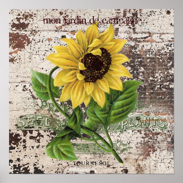 Gelbe Sonnenblume auf rustikalem Holzpaneel Poster (Vorne)