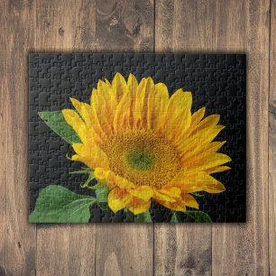 Gelbe Sonnenblume auf schwarzem Hintergrund