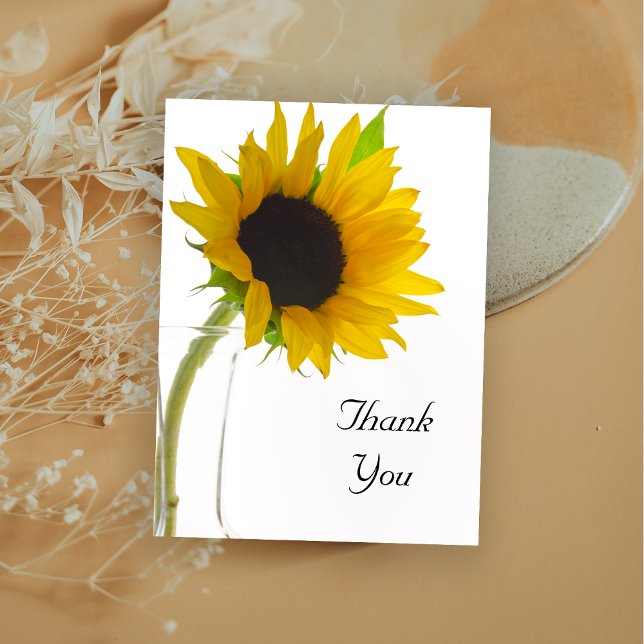 Gelbe Sonnenblume auf Weiß Danke Postkarte (Von Creator hochgeladen)