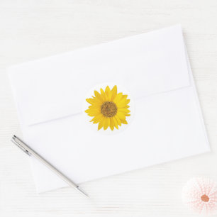 Gelbe Sonnenblume auf Weiß Runder Aufkleber