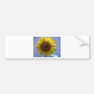 Gelbe Sonnenblume Autoaufkleber