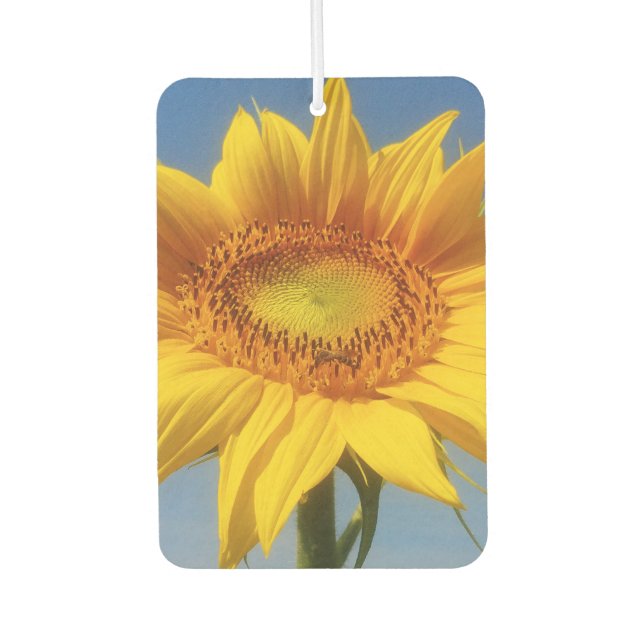 Gelbe Sonnenblume Autolufterfrischer (Vorderseite)