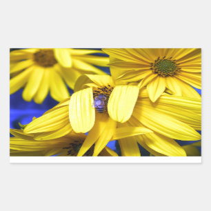 Gelbe Sonnenblume, blaue Bienenkleber Rechteckiger Aufkleber