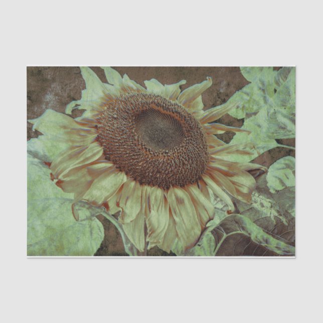 Gelbe Sonnenblume Braune Textur Dekoration Seidenpapier (Vorderseite)