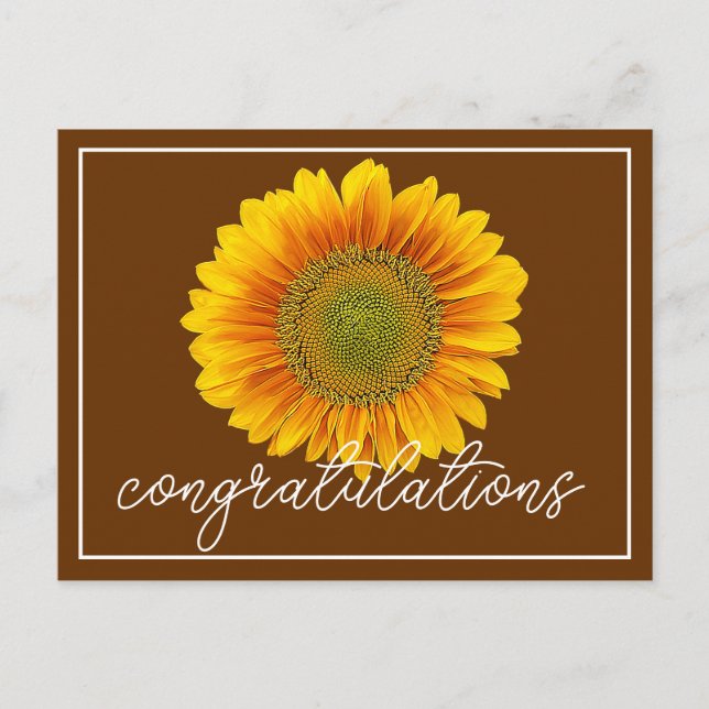 Gelbe Sonnenblume Brauner Hintergrund Herzlichen G Postkarte (Vorderseite)