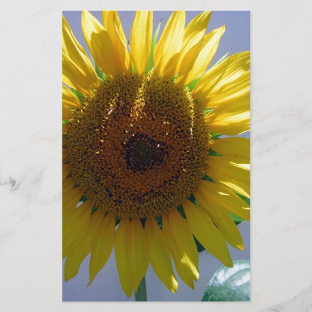 Gelbe Sonnenblume Briefpapier (Vorderseite)