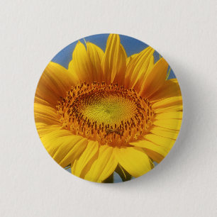 Gelbe Sonnenblume Button
