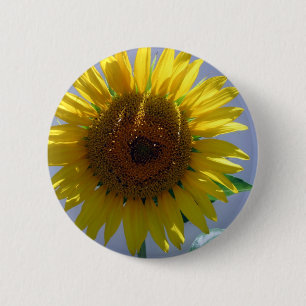 Gelbe Sonnenblume Button