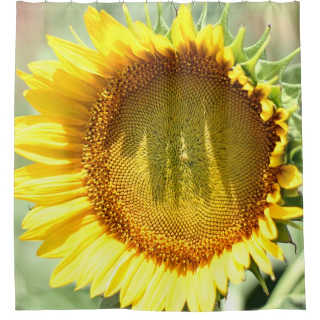 Gelbe Sonnenblume Duschvorhang (Vorderseite)