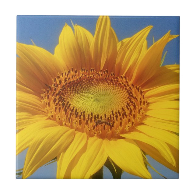 Gelbe Sonnenblume Fliese (Vorderseite)
