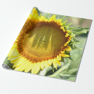 Gelbe Sonnenblume Geschenkpapier